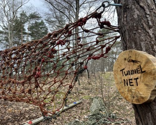 09-03-2024_19-48-52_qmyt_PeR3LZsfiKnjND_HAG4wb1q8bJL2z_XBa5