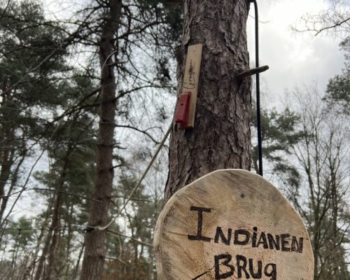 09-03-2024_19-50-13_XKna_LSx0OgOYlAzAA2_81jQOmyPlm8C3j_QZrc