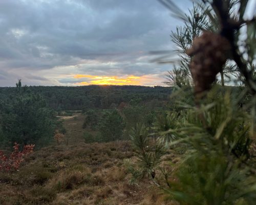 Cover Brunssummerheide-min